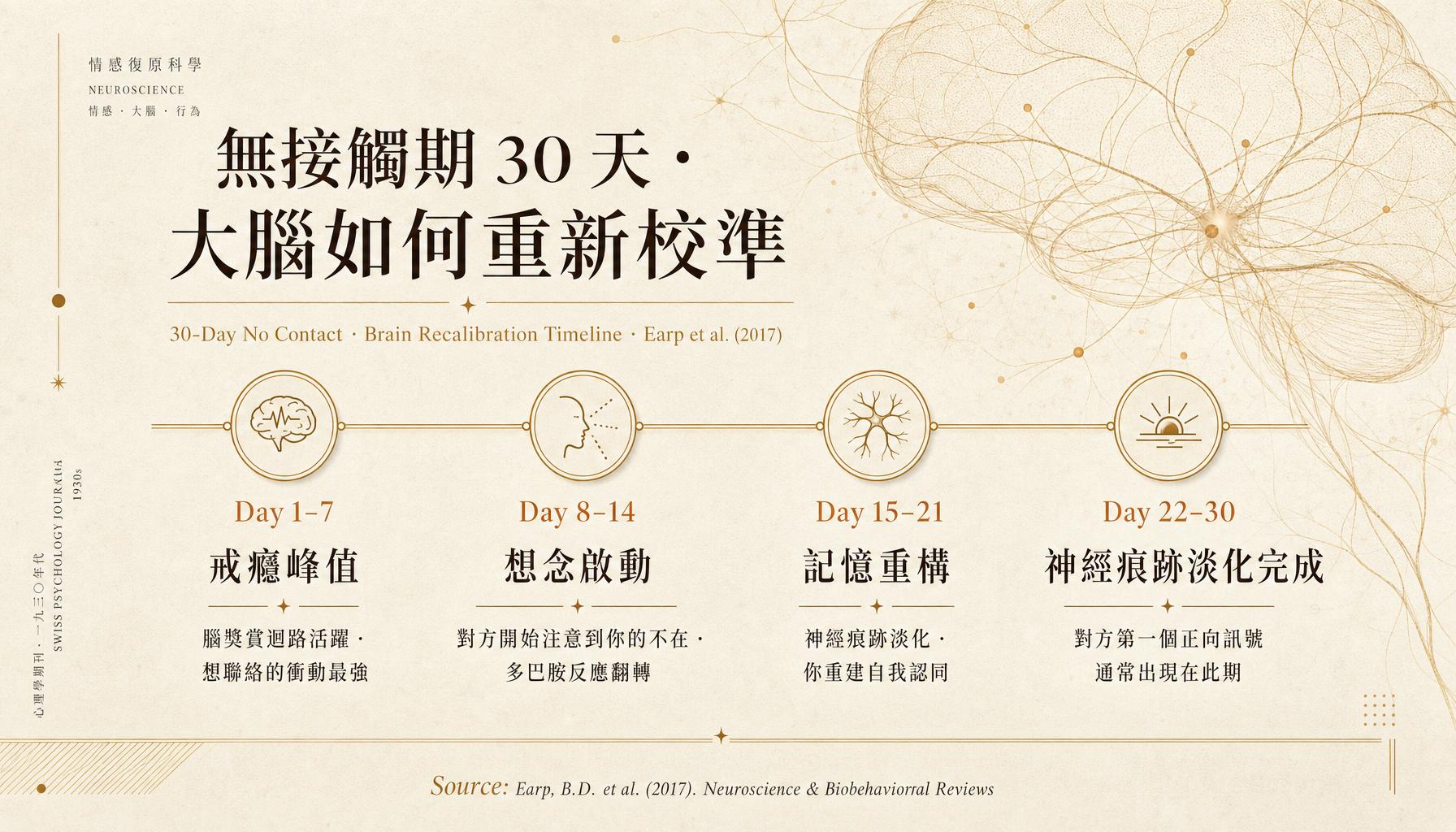 No Contact 30 天大腦反應時間軸 — Earp 2017